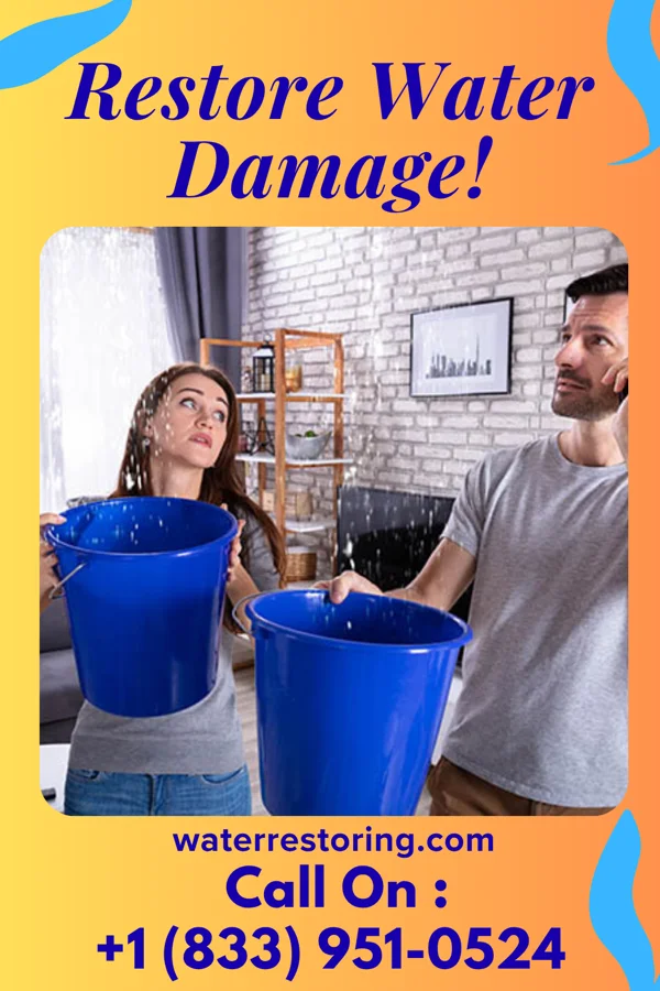 water restoration Golden Damage Recovery Group Naomi