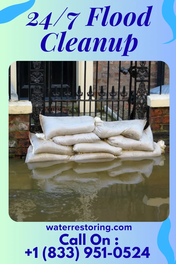24/7 Flood Cleanup in Naomi, PA