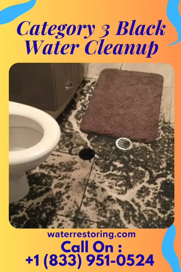 Category 3 Black Water Cleanup in Naomi, PA