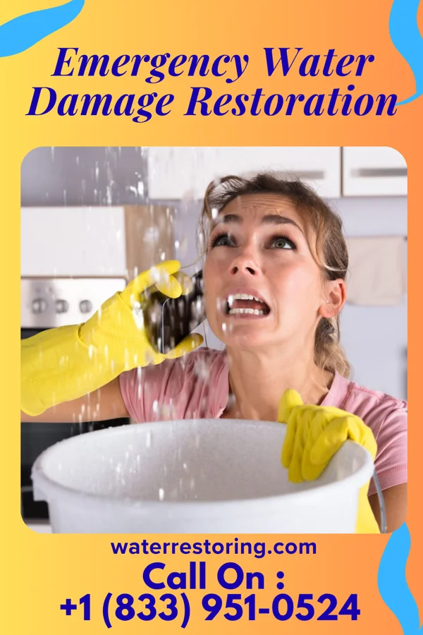 Emergency Water Damage Restoration in Naomi, PA