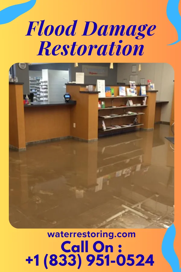 Flood Damage Restoration in Naomi, PA