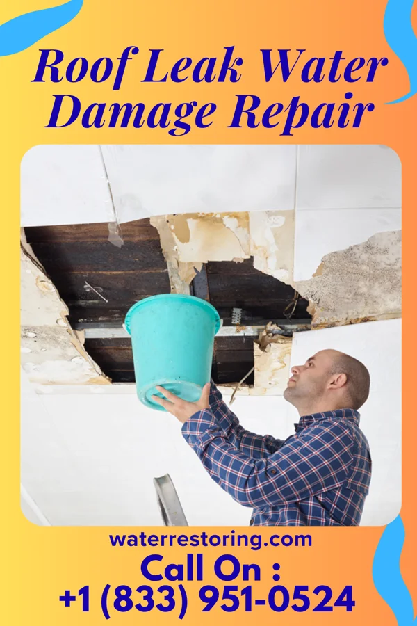 Roof Leak Water Damage Repair in Naomi, PA