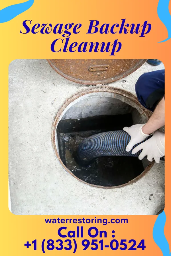 Sewage Backup Cleanup in Naomi, PA